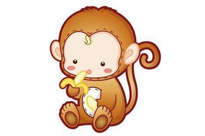 不同年份的屬猴人在2019年的運(yùn)程分析